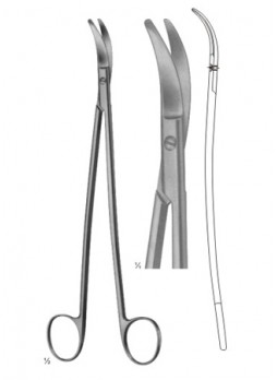 Scissors